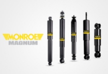 MONROE MAGNUM в асортименті ELIT!