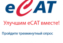 Помогите сделать еСat лучше