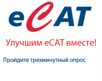 Помогите сделать еСat лучше